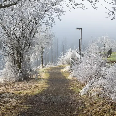 Auszeit 22 - Im Harz Holiday home *